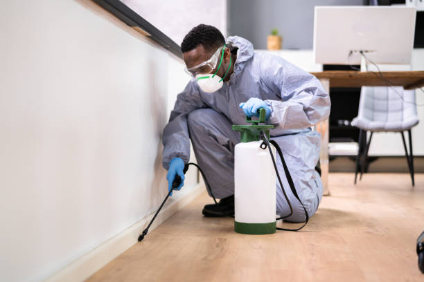 Reliable Bristol, FL Pest Control Solutions